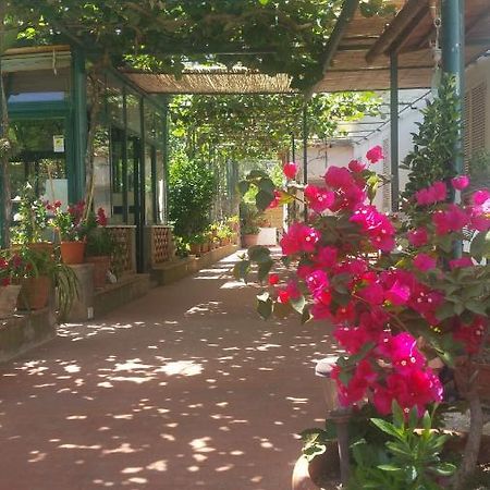 Villa Dei Fiori B&B 卡普里 外观 照片