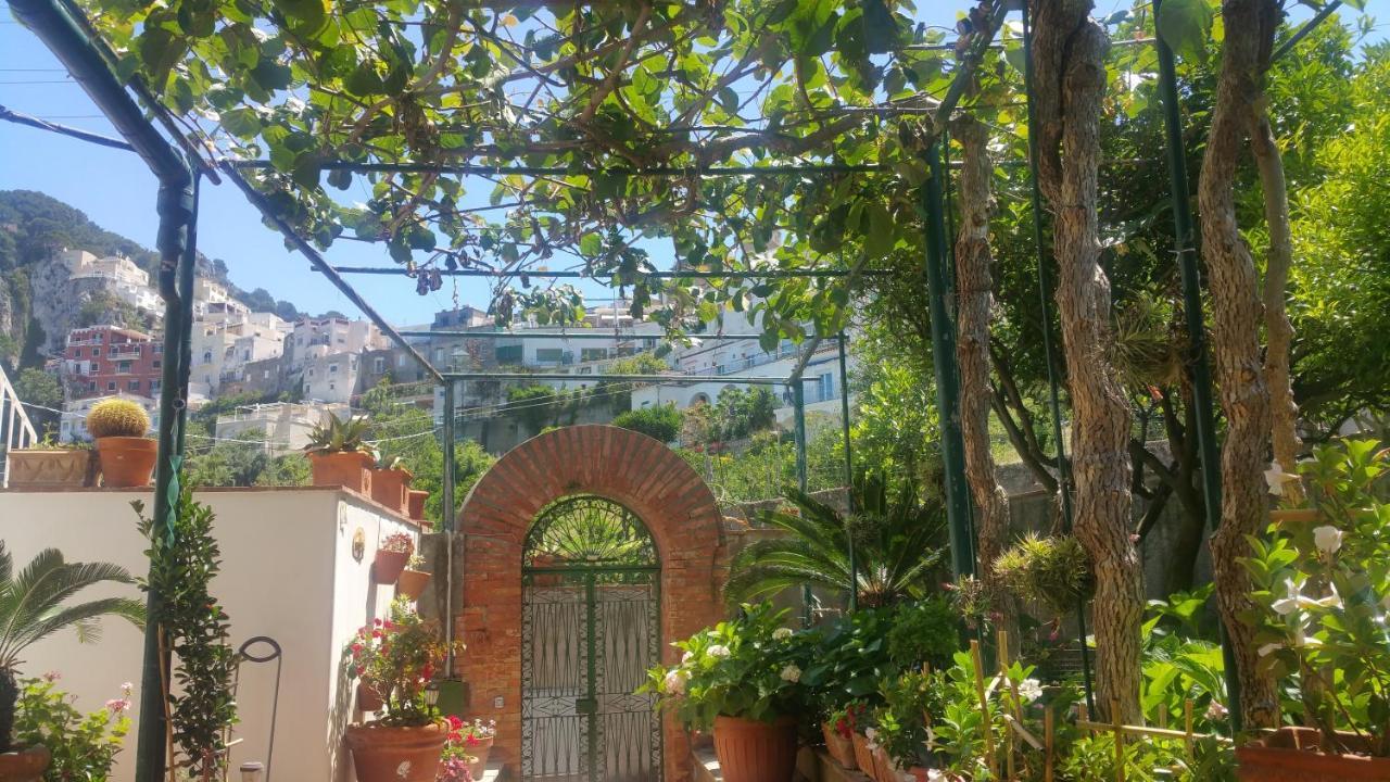 Villa Dei Fiori B&B 卡普里 外观 照片