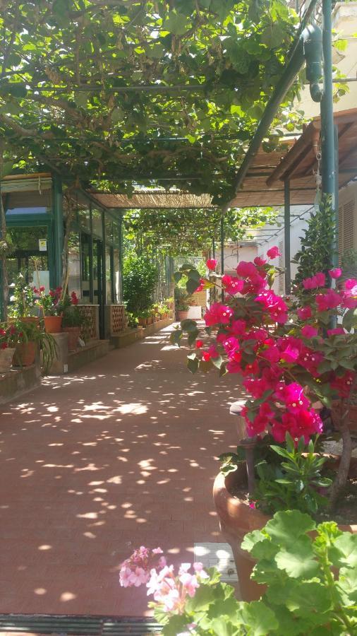 Villa Dei Fiori B&B 卡普里 外观 照片