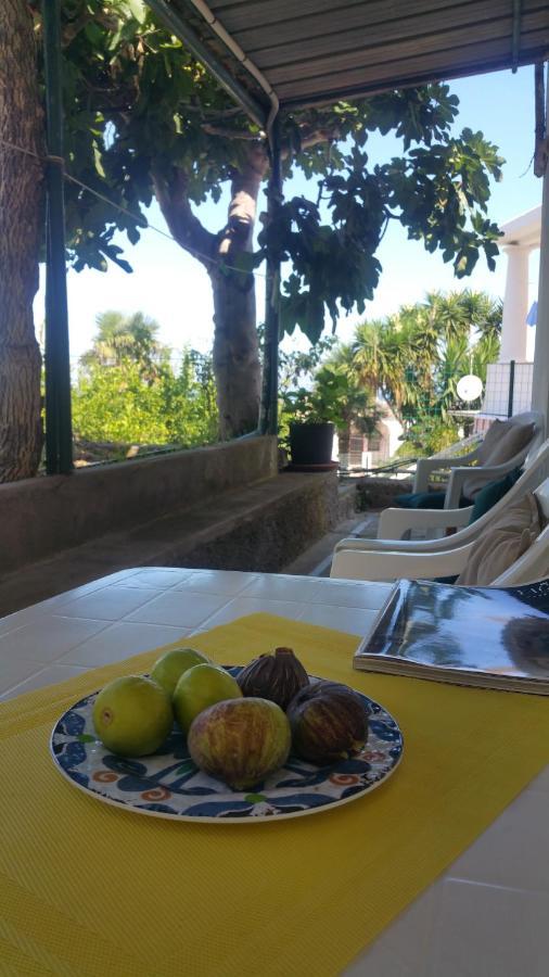Villa Dei Fiori B&B 卡普里 外观 照片
