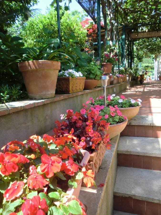 Villa Dei Fiori B&B 卡普里 外观 照片