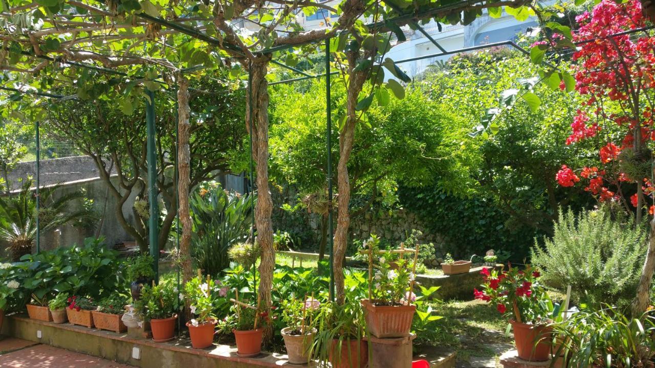Villa Dei Fiori B&B 卡普里 外观 照片