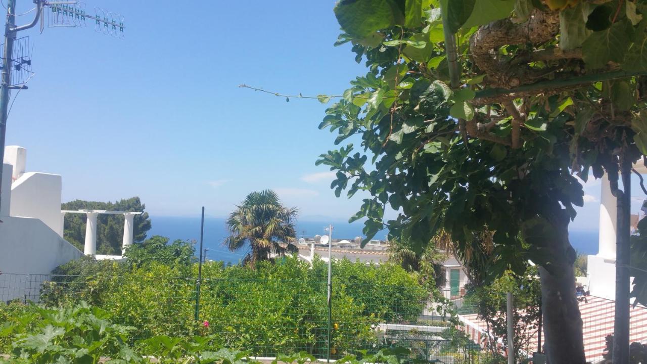 Villa Dei Fiori B&B 卡普里 外观 照片