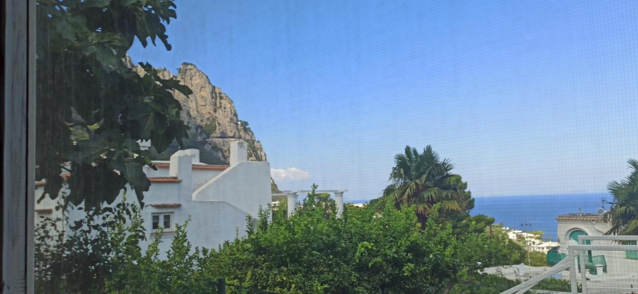 Villa Dei Fiori B&B 卡普里 外观 照片