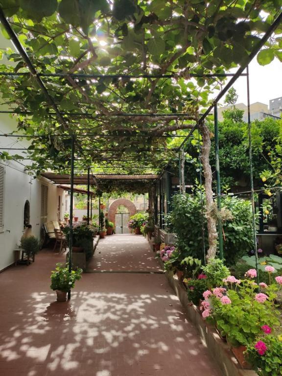 Villa Dei Fiori B&B 卡普里 外观 照片