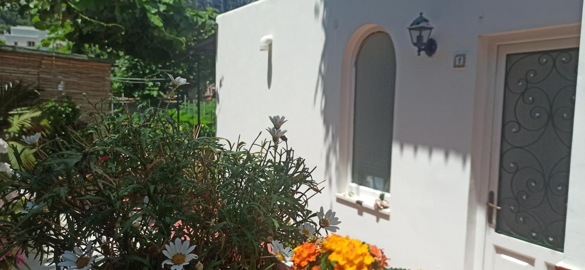 Villa Dei Fiori B&B 卡普里 外观 照片