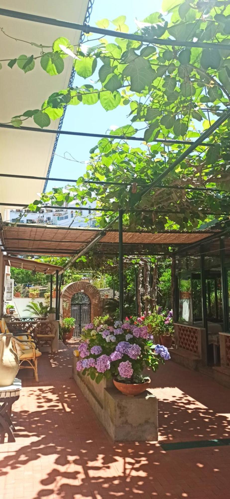 Villa Dei Fiori B&B 卡普里 外观 照片
