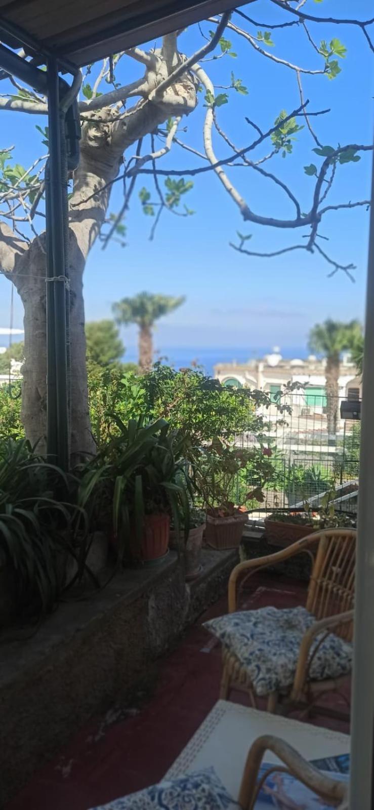 Villa Dei Fiori B&B 卡普里 外观 照片