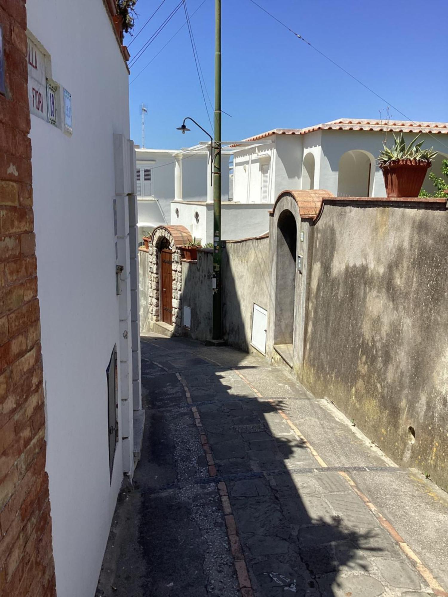 Villa Dei Fiori B&B 卡普里 外观 照片